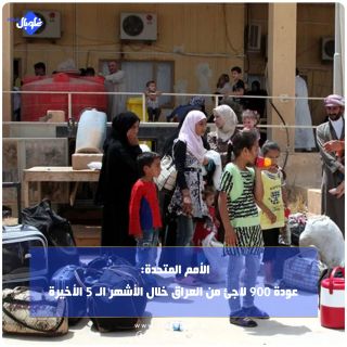 الأمم المتحدة: عودة 900 لاجئ من العراق خلال الأشهر الـ 5 الأخيرة