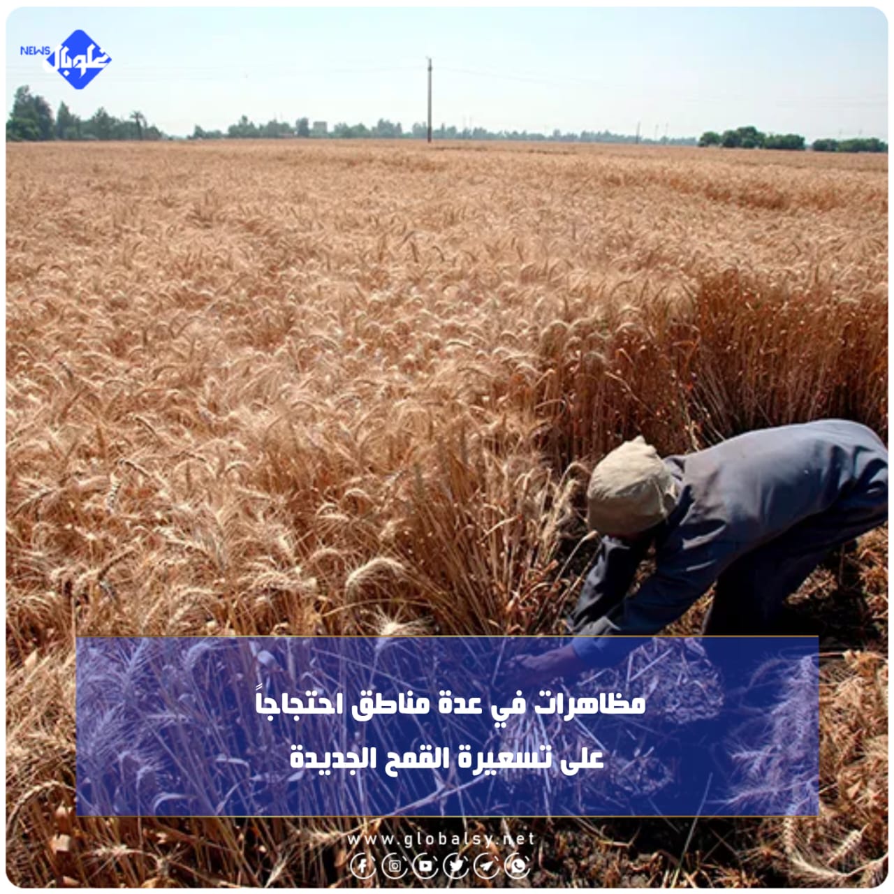 مظاهرات في عدة مناطق احتجاجاً على تسعيرة القمح الجديدة