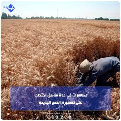مظاهرات في عدة مناطق احتجاجاً على تسعيرة القمح الجديدة