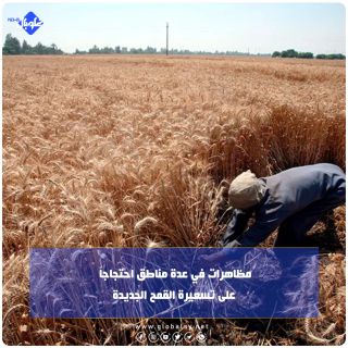 مظاهرات في عدة مناطق احتجاجاً على تسعيرة القمح الجديدة