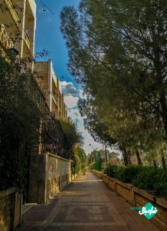 صور من سورية