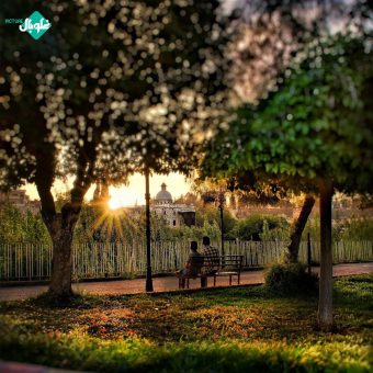 جمال حدائق حماه